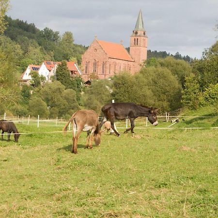 Ferienwohnung Spreter Zimmern ob Rottweil Εξωτερικό φωτογραφία
