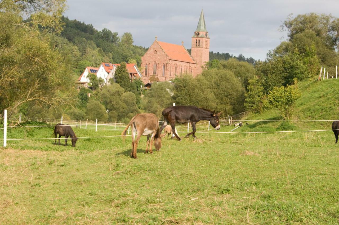 Ferienwohnung Spreter Zimmern ob Rottweil Εξωτερικό φωτογραφία